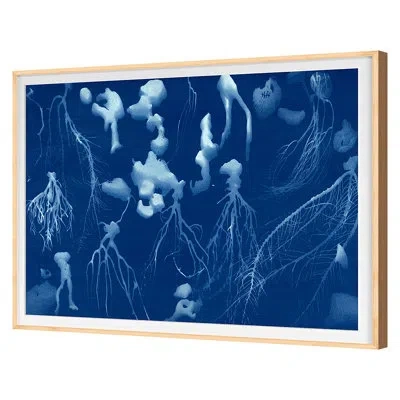 Grand Image Home Cyanotype 4 By Allison Svoboda - Single Picture Frame Print On Paper In Hickory Framed