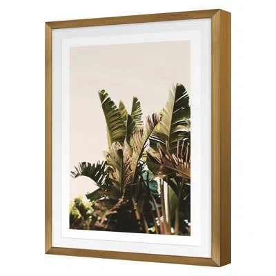 Grand Image Home Equaltorial By Alicia Bock - Single Picture Frame Print On Paper In Gold Framed