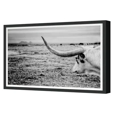 Grand Image Home Fall 2022 The Horn Framed On Paper By Jean Cornell Print In Black Single Picture Framed