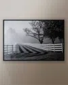 Grand Image Home Fenced Pasture With Fog And Sunshine Photo