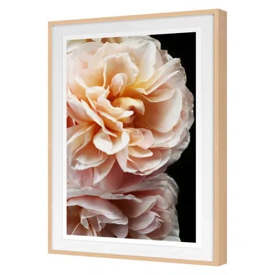 Grand Image Home Floribunda Ii By Alicia Bock - Single Picture Frame Print On Paper In Maple Framed
