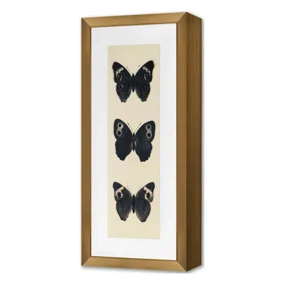 Grand Image Home Flutter 5 Framed On Paper By Katie Todaro Print In Black;gray;beige;orange
