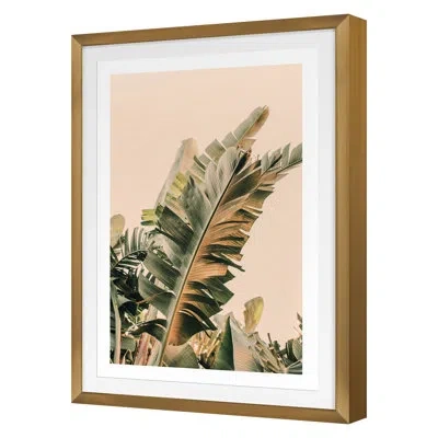 Grand Image Home Growing Green By Alicia Bock - Single Picture Frame Print In Gold Framed
