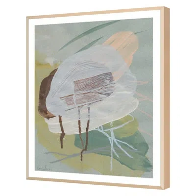 Grand Image Home Jelly Fly By Cassidy Cole - Single Picture Frame Print On Paper In Maple Framed