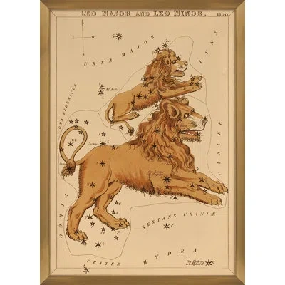 Grand Image Home Leo By Grand Archives - Picture Frame Painting In Blue;brown;green;red;beige;yellow;pink
