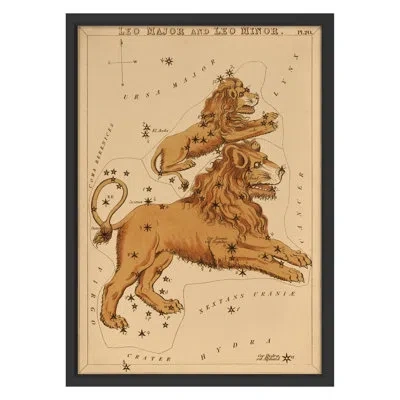 Grand Image Home Leo By Grand Archives - Single Picture Frame Print On Paper In Black Framed