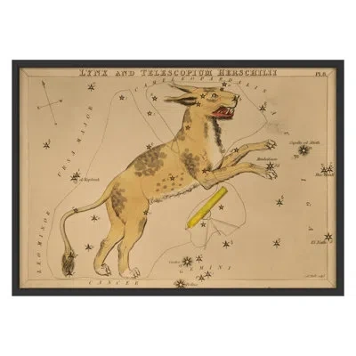 Grand Image Home Lynx By Grand Archives - Single Picture Frame Print On Paper In Black Framed