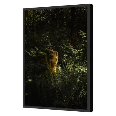 Grand Image Home Mossy Ledge Framed On Paper By Kelsey Bumsted Print In Black;green;yellow