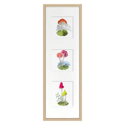 Grand Image Home Mushroom Scene By Dana Gibson - Single Picture Frame Painting In Nordic Oak
