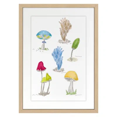 Grand Image Home Mushrooms 1 By Dana Gibson - Single Picture Frame Painting In Nordic Oak
