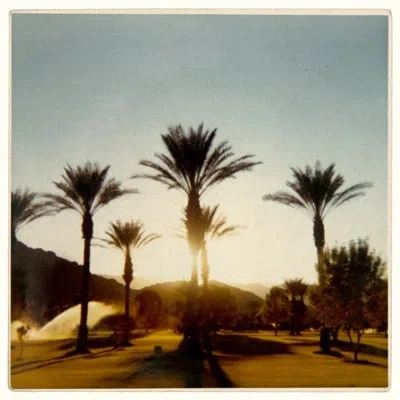 Grand Image Home Palm Trees By Hope Bainbridge - Single Picture Frame Print On Paper In Blue;brown;green;beige;yellow