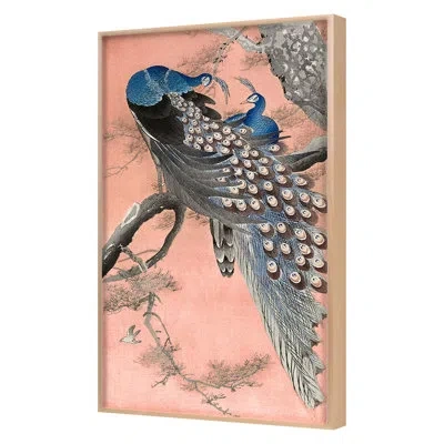 Grand Image Home Peacocks By Grand Archives  - Single Picture Frame Print In Blue;gray;pink