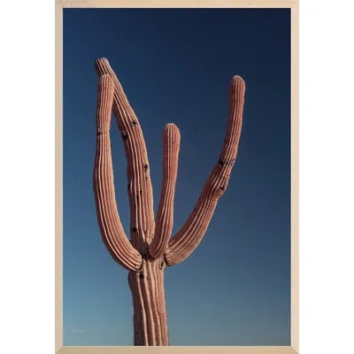 Grand Image Home Phoenix, Arizona 14 By August Studios - Floater Frame Painting In Blue;pink