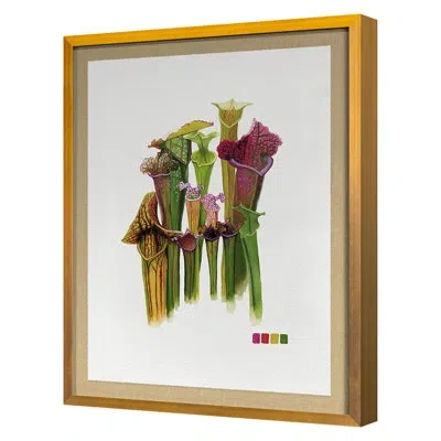 Grand Image Home Pitcher Plant By Thicket Design - Single Picture Frame Print On Paper In Gold Framed