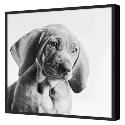 Grand Image Home " Puppy Eyes 1 " By Pearson, Victoria In Black