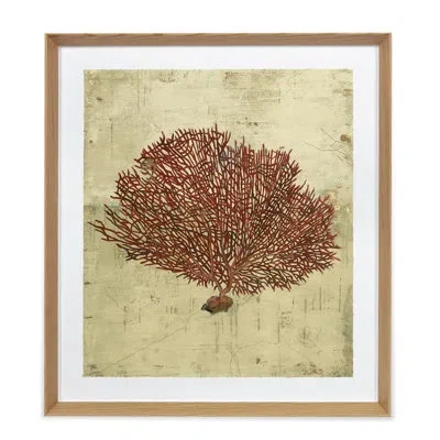 Grand Image Home Red Sea Fan By Sarah Atkinson - Picture Frame Painting In Brown;red;tan