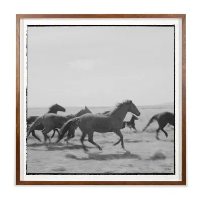 Grand Image Home Running Horses By Chris Dunker - Picture Frame Photograph On Paper In Black And White