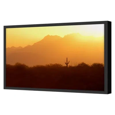 Grand Image Home Spring 2022 Saguaro National Park, Arizona Framed On Paper By Photodf Print In Black Single Picture Framed
