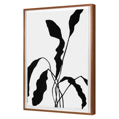 Grand Image Home Summer 2019 Silhouetted Flower 2 Framed On Paper By Hable Construction Print In Black
