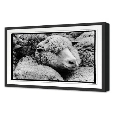 Grand Image Home Summer 2022 A Fleece In The Crowd By Amy Raab - Single Picture Frame Print In Black Single Picture Framed