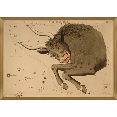 Grand Image Home Taurus By Grand Archives - Floater Frame Painting In Blue;brown;green;red;beige;yellow;pink