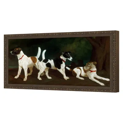 Grand Image Home " Untitled " By Declaviere, Bernard In Black;brown;white
