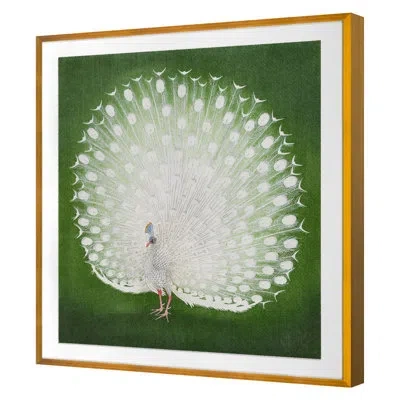 Grand Image Home White Peacock By Grand Archives - Single Picture Frame Print On Paper In Gold Framed