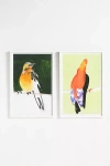 Grand Image Robin Tunki Wall Art In Multi