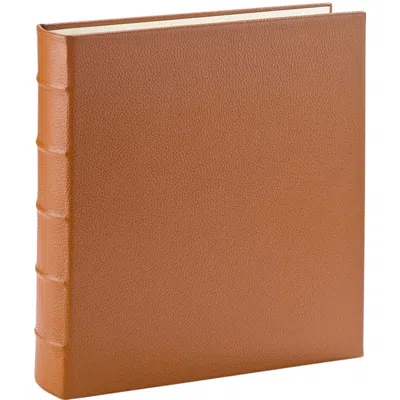 Graphic Image Large 3-ring Clear Pocket Album In Brown