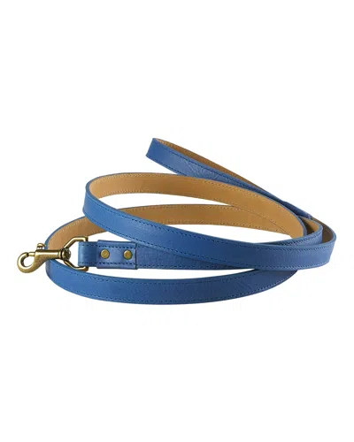 Graphic Image Personalized Dog Leash In Blue