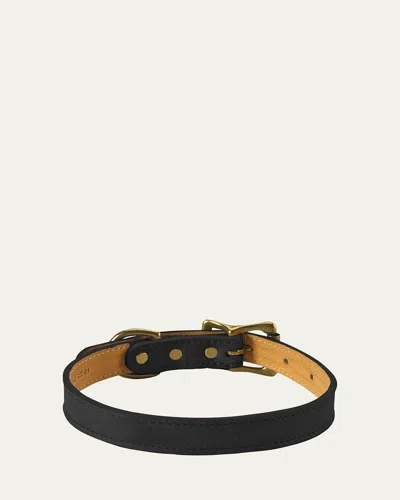 GRAPHIC IMAGE PERSONALIZED SMALL DOG COLLAR