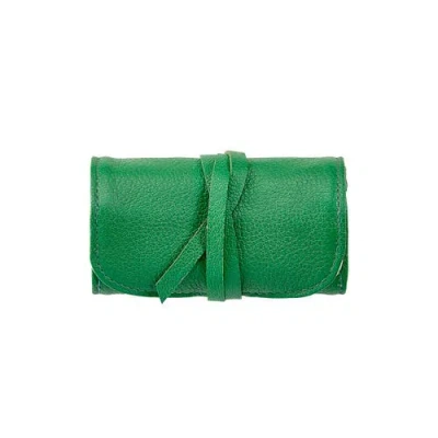 Graphic Image Small Jewelry Roll In Green