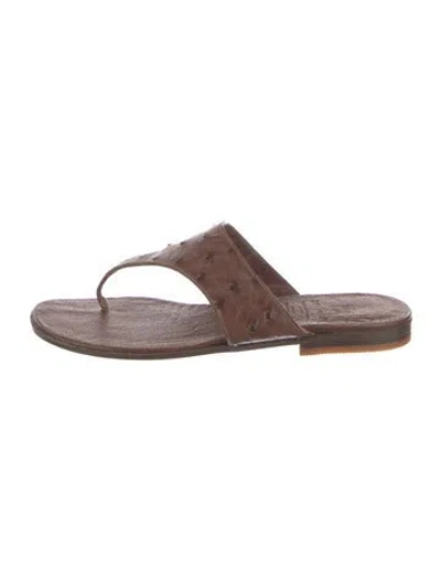 Pre-owned Gravati Ostrich Animal Print Flip Flops In Brown