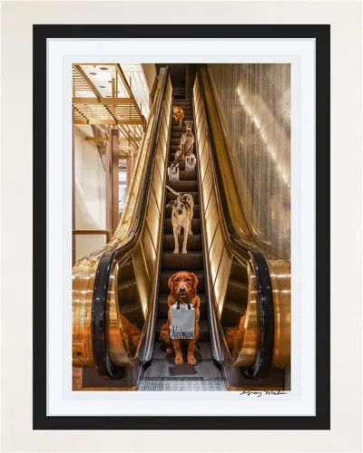 Gray Malin Escalator Ride, Neiman Marcus, Downtown Dallas Framed Fine Art Photography Print