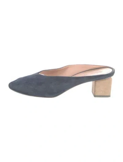 Pre-owned Gray Matters Suede Mules In Blue