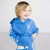 Grayson Little Toddler Boys Long Sleeve Fleece Hoodie In Blue