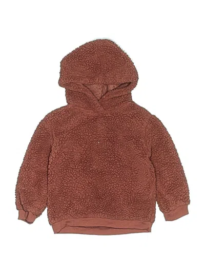 Pre-owned Grayson Mini Kids' Pullover Hoodie In Brown