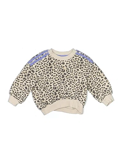 Pre-owned Grayson Mini Kids' Pullover Sweater In Brown