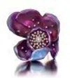 Graziela Large Purple Orchid Titanium Ring
