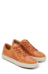 Greats Court Sneaker In Whiskey