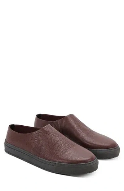 Greats Mercer X Steven Alan Slip-on In Brown Leather