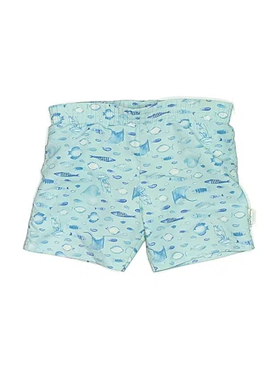 Pre-owned Green Sprouts Babies' Board Shorts In Blue