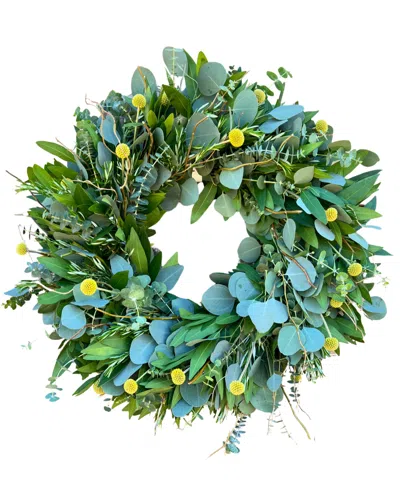 Greenishblu Bayleaf, Baby Blue Eucalyptus, Rosemary, Curly Willow And Yellow Billy Balls Real Aromatic Wreath, 2 In Transparent