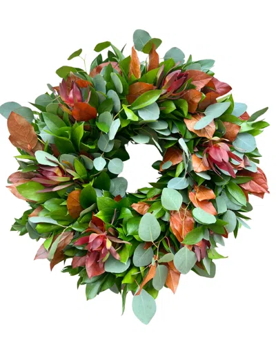 Greenishblu Fall Ruscus, Silver Dollar Eucalyptus, Orange Salal And Red Safari Real Aromatic Wreath, 22" In Transparent