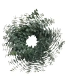 Greenishblu Fresh Eucalyptus Wreath In Green