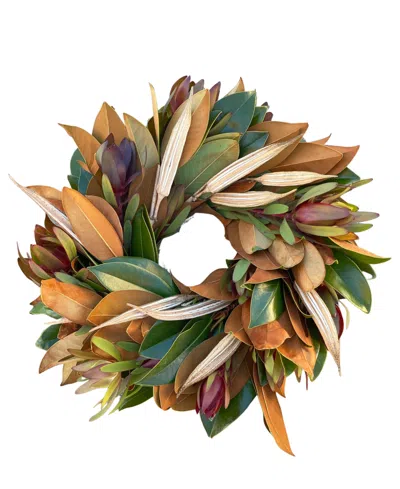 Greenishblu Fresh Real Magnolia, Safari And Dried Okra Wreath In No Color