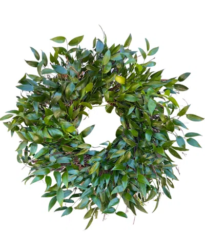 Greenishblu Long Lasting Italian Ruscus Real Wreath, 22" In Transparent