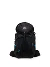 Gregory Citro 30 Backpack In Purple