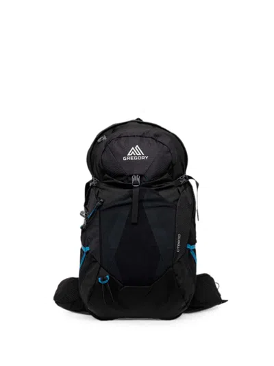 Gregory Citro 30 Backpack In Purple