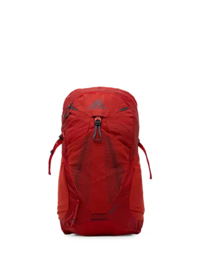 Gregory Miko 20 Backpack In Red